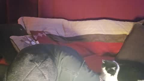 brownboyt online show from 12.19.25