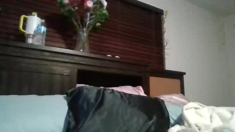 Snapshot of brownsugar0910 chatting on 12.15.24 EtherealLilac online show from 12.15.24