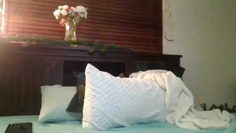 Snapshot of brownsugar0910 chatting on 12.26.24 EtherealLilac online show from 12.26.24