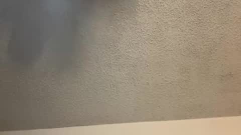 Snapshot of brownsugar0910 chatting on 02.11.25 EtherealLilac online show from 02.11.25