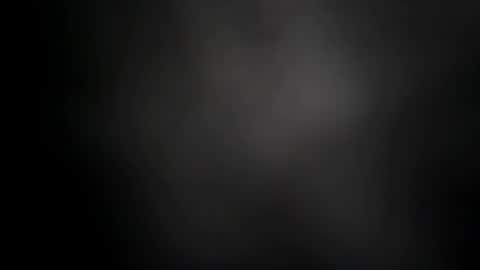 BRUCE online show from 11.22.25