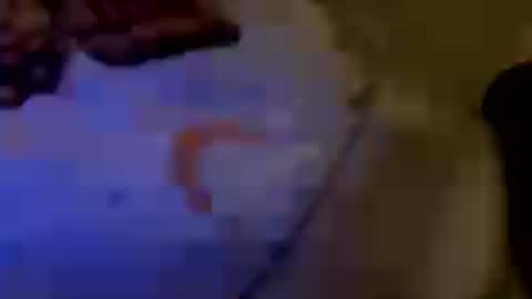 Brujaxgrey online show from 07.29.26