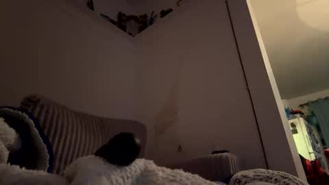 bubblya online show from 02.20.26