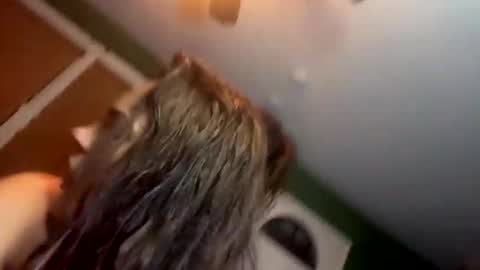 Snapshot of bugnbabs chatting on 11.28.25 Yourtrippyhippy online show from 11.28.25