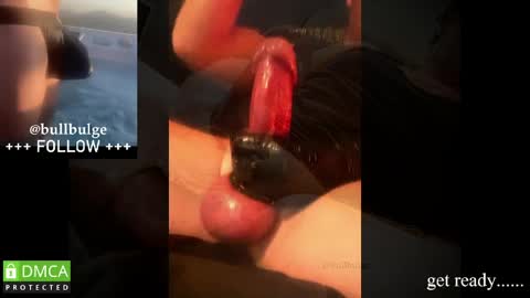 Snapshot of bullbulge chatting on 05.19.26 Bull. online show from 05.19.26