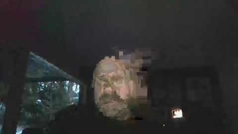 bulldog302w online show from 02.02.26