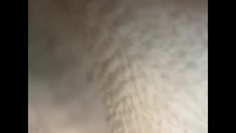 Snapshot of bullhungcub chatting on 12.05.24 bull cub online show from 12.05.24