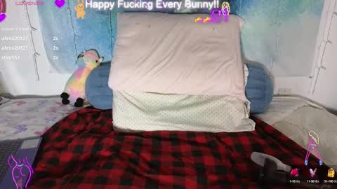 Snapshot of bunnycheekz chatting on 01.28.25 Tokki bunny online show from 01.28.25