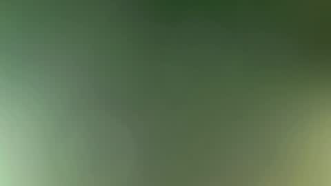 Bella online show from 03.08.26