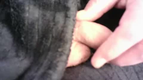 Snapshot of burnside13 chatting on 03.16.26 Hamish online show from 03.16.26