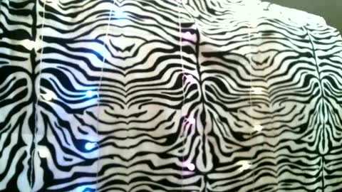 Snapshot of bustinfree chatting on 02.24.25 bustinfree online show from 02.24.25