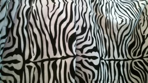 Snapshot of bustinfree chatting on 02.28.25 bustinfree online show from 02.28.25