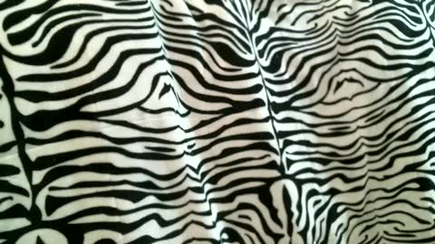 Snapshot of bustinfree chatting on 09.09.25 bustinfree online show from 09.09.25