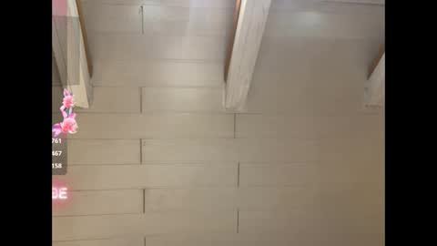 Snapshot of bustytube chatting on 01.18.25 BUSTYtube online show from 01.18.25