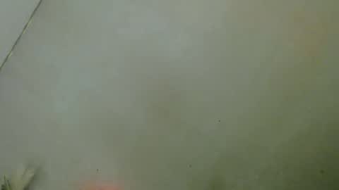 J E N online show from 09.14.25