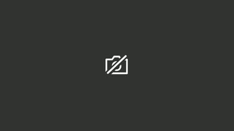 Dylan online show from 02.17.26