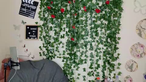 butterfly booty online show from 11.01.25