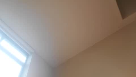 Snapshot of buttsluttwhore chatting on 12.21.24 HannahWreckshin online show from 12.21.24