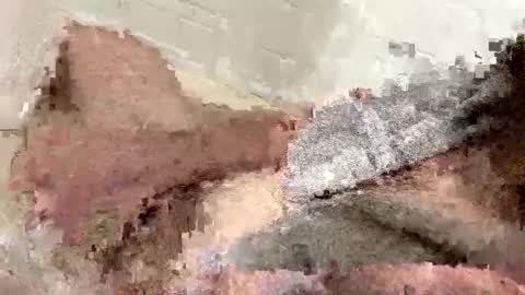 buzzed_gaming online show from 02.17.25