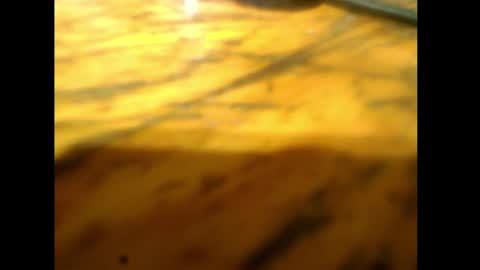 Snapshot of bzxxbzh chatting on 02.15.26 bzxxbzh online show from 02.15.26