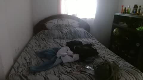 MDaniel online show from 03.08.26