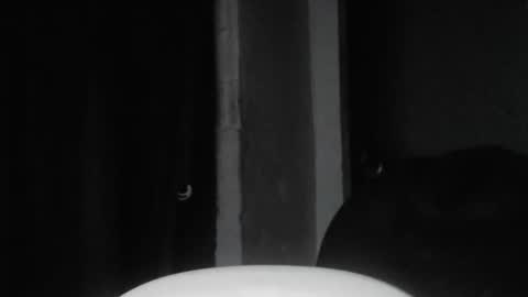 cafinfi1 online show from 02.18.26