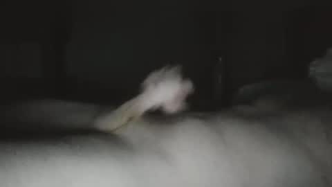 Snapshot of caguy2810 chatting on 12.03.25 caguy2810 online show from 12.03.25