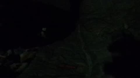 Snapshot of calisguitar chatting on 12.29.24 Calisguitar online show from 12.29.24