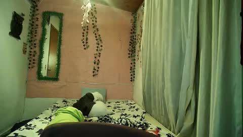 paula online show from 02.12.26