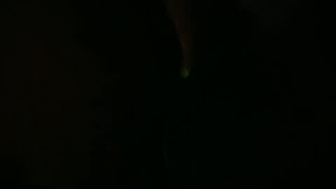 Charly online show from 07.10.26