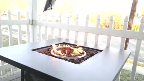 Snapshot of camaro383ci1994 chatting on 12.25.24 Chillaxin lets talk online show from 12.25.24