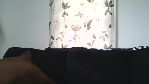 Snapshot of camaro383ci1994 chatting on 01.21.25 Chillaxin lets talk online show from 01.21.25