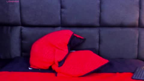 Snapshot of camila_coxx chatting on 12.29.24 s online show from 12.29.24