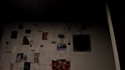 Snapshot of camille_delrey chatting on 01.20.25 Camille online show from 01.20.25