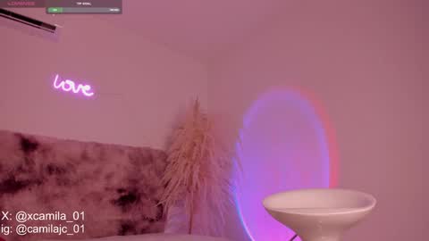 Snapshot of cammile_cole chatting on 12.21.24 Laura Camila online show from 12.21.24