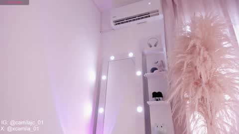 Snapshot of cammile_cole chatting on 01.30.25 Laura Camila online show from 01.30.25