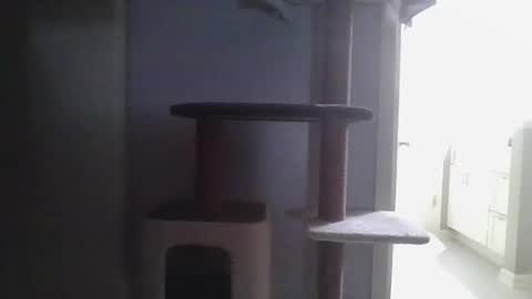 cammyman6900 online show from 11.21.25