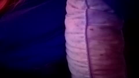 Candi online show from 11.16.25