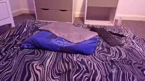 Snapshot of candyboy666 chatting on 02.19.26 Candy Boy online show from 02.19.26