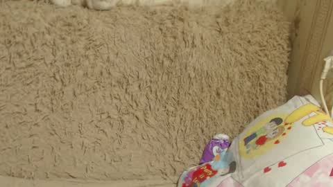 Snapshot of candylady136 chatting on 12.26.24 say meow and send tip online show from 12.26.24