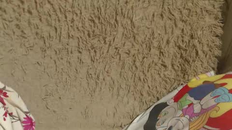 Snapshot of candylady136 chatting on 02.14.25 say meow and send tip online show from 02.14.25