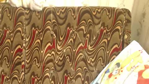 Snapshot of candylady136 chatting on 03.02.25 say meow and send tip online show from 03.02.25