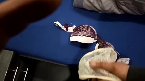 Snapshot of capoo24 chatting on 10.28.25 capoo24 online show from 10.28.25