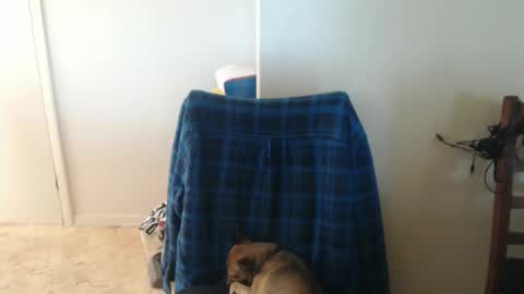 capt5105 online show from 03.05.26