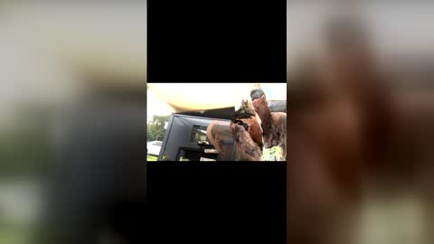 captain_deanos online show from 02.13.26