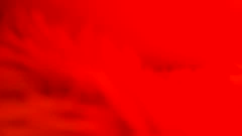 Snapshot of captain_nature chatting on 02.26.25 captain_nature online show from 02.26.25