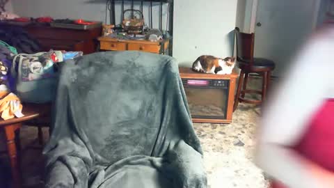 Snapshot of carleyquinn42183 chatting on 12.02.24 Carley online show from 12.02.24