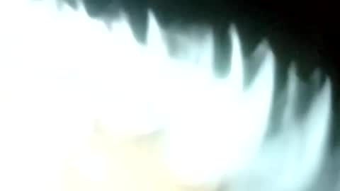 carlitito1 online show from 04.01.26