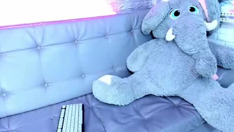 carolinejesh online show from 02.17.26