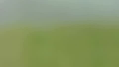 Caro online show from 09.24.25